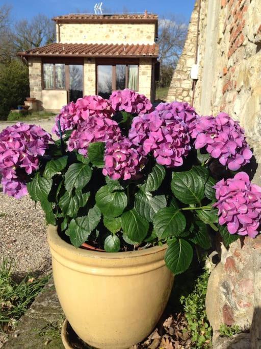 Faetole Typical Tuscan Country House Near Florence Capannuccia Esterno foto